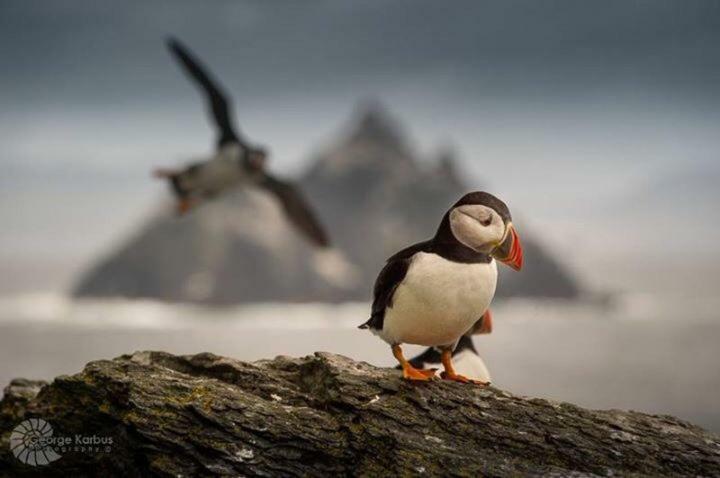 Skellig Port - Sea View Ensuite Homestay *
