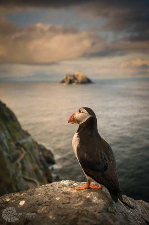 Skellig Port - Sea View Ensuite Homestay *